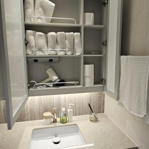 baño con lavabo y armario con toallas en Domus en Seúl
