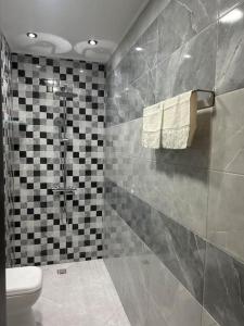 ソゾポルにあるАпартамент Злато изглед МОРЕのトイレとタイル張りの壁があるバスルーム