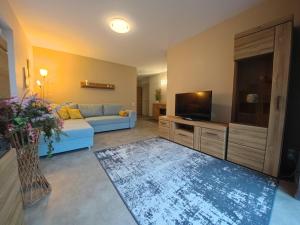 a living room with a blue couch and a flat screen tv at Ferienwohnung 1 barrierefrei in Schmiedefeld am Rennsteig