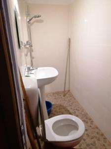 une salle de bains avec toilettes et lavabo dans l'établissement La 2 pași de Biserica Neagră, à Braşov