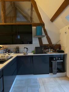 a kitchen with blue cabinets and a stove top oven at Duplex à la campagne in Vermenton