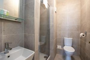 a bathroom with a toilet and a shower and a sink at Fantastic 2BD apt in THE best location in Dublin in Dublin