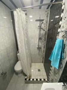 a bathroom with a shower with a toilet and a sink at Нара in Gyumri