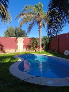 een zwembad in een tuin met een palmboom bij Las Palmeras 