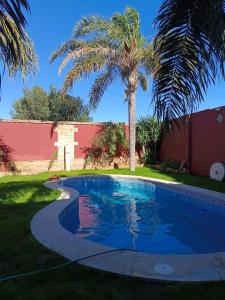 uma piscina num quintal com uma palmeira em Las Palmeras 