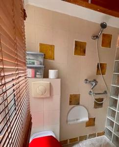 y baño pequeño con ducha y aseo. en Charmant Duplex calme 40m 2, en París