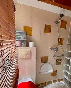 a small bathroom with a shower and a toilet at Charmant Duplex calme 40m 2 in Paris