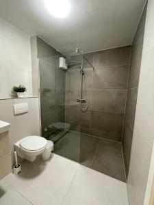 een badkamer met een douche en een toilet bij Apartments Skyreach-WohnZimmer in Essen