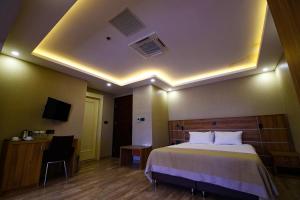 um quarto de hotel com uma cama, uma secretária e uma televisão em VOLLEY HOTEL ANKARA em Ancara