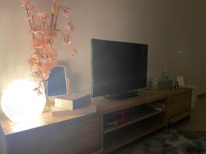 A television and/or entertainment centre at THE MOON Atami