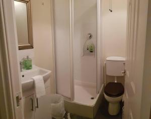 ein Bad mit einer Dusche, einem WC und einem Waschbecken in der Unterkunft 3 Bedroom 3 Bathroom House, Dublin in Lucan