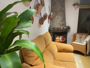 Zona de estar de Casa Árbol