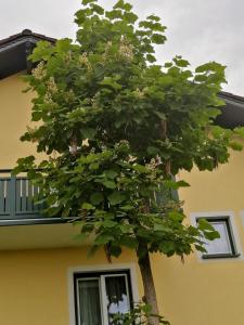 a tree in front of a yellow building at Ferienwohnung am Stadtrand in Sankt Pölten