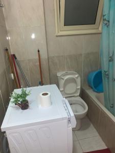 a small bathroom with a toilet and a sink at شقة عائلية راااقية ورائعة وسط الغردقة in Hurghada