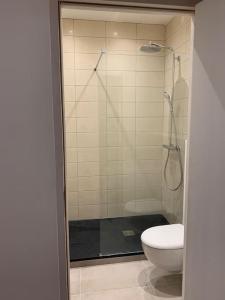een badkamer met een toilet en een glazen douche bij Studio indépendant dans maison in Couzon-au-Mont-dʼOr