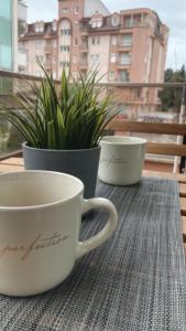dos tazas sentadas en una mesa con una planta en Queen's luxury Apartment, en Ohrid