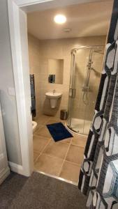 een badkamer met een douche, een toilet en een wastafel bij Johnny Murphy's Guest Rooms in Meigh