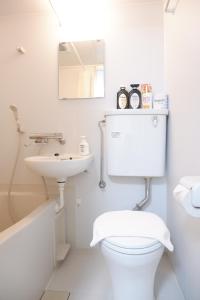 東京にあるGLOU Minami Koiwaの白いバスルーム(トイレ、シンク付)