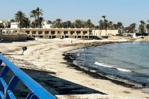 einen Sandstrand mit einem Gebäude und Palmen in der Unterkunft Monastir Bord de Mer Palais Présidentiel in Monastir