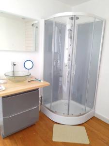 een douche in een badkamer met een aanrecht en een wastafel bij Les Hirondelles Archiac in Archiac