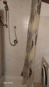 een douche met een douchegordijn in de badkamer bij La corte dei celti la fonte 1 in San Benedetto Del Querceto