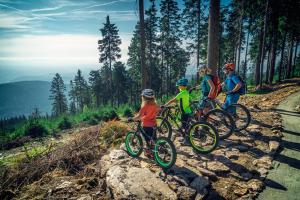 a group of people riding bikes on a mountain trail at APARTMÁNY 91 Boží Dar in Boží Dar