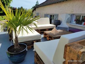a patio with couches and a plant in a pot at Grande maison de campagne in Villiers-en-Désoeuvre