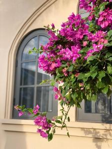 a bunch of pink flowers in front of a window at La Mer Villa in Bình Tú