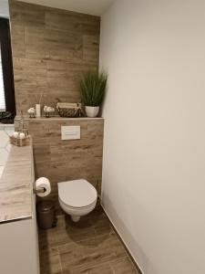 a bathroom with a toilet and a wooden wall at Ferienwohnung Papperitz in Heiligen