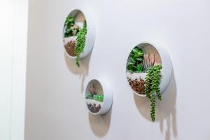 a couple of cactus plants in pots on a wall at Boavista Executive Studios in Porto +29 photos