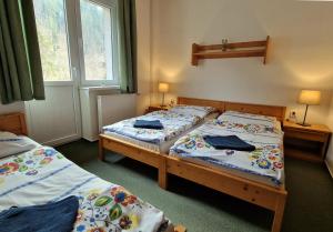 Spišské Tomášovce的住宿－Rekreačné zariadenie Čingov - Slovenský raj，一间卧室设有两张床和窗户。