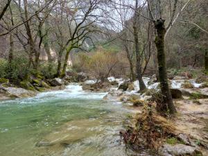 a stream of water with rocks and trees at Alojamiento Vacacional Inma in Cazorla