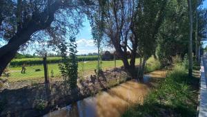 een stroom water naast een veld met bomen bij La Pausa, Departamentos y Casas in Chacras de Coria