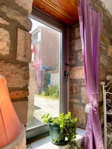 una ventana con una cortina púrpura y una planta en Masal Küçükköy Boutiquehotel, en Ayvalık