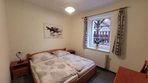 Pension Patanka في براغ: غرفة نوم بسرير ونافذة