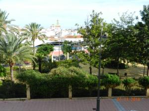 vistas a un parque con palmeras y luz de la calle en Apartment Parque Central, en Estepona