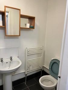 La salle de bains est pourvue de toilettes et d'un lavabo. dans l'établissement Nice House Near QMC, à Nottingham