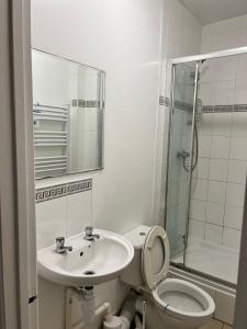 a bathroom with a toilet and a sink and a shower at Nice House Near QMC in Nottingham