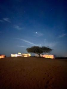 un arbre au milieu du désert la nuit dans l'établissement Camp Rêve de Nomade, à Lompoul