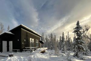 una cabaña de madera en la nieve con un árbol en Mountain Holiday Homes - Ottsjö, Trillevallen -Sweden, en Åre