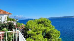 a view of the water from a house at Apartments Timee first row to beach in Stanići