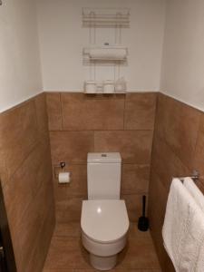 a small bathroom with a toilet and a sink at Hotel Complutense in Alcalá de Henares