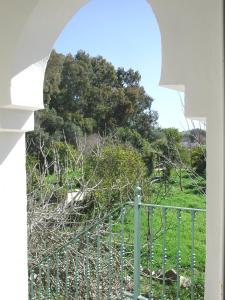 una vista desde la ventana de una casa en Finca San Ambrosio - Apartments in grüner Oase mit Terrasse, Pool, Heizung, WiFi, en Vejer de la Frontera