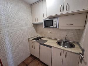 Kuchyň nebo kuchyňský kout v ubytování APARTAMENTOS SAN ANDRES