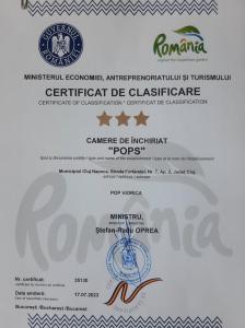a fake immigration certificate of citizenship and immigration papers at APARTMENT POPS in Cluj-Napoca