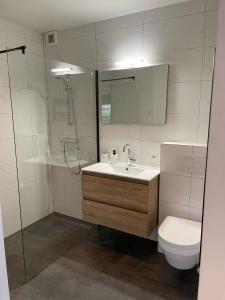 een badkamer met een wastafel, een douche en een toilet bij Waltrilo in Waalre