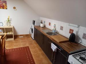 uma cozinha com um lavatório e uma bancada em ApartmanSport em Ostrava