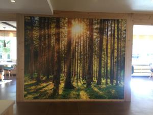 un murale di una foresta con il sole che splende tra gli alberi di Fedaia Joy B&B a Canazei