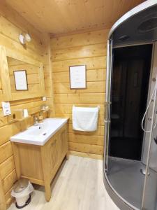 uma casa de banho em madeira com um lavatório e um chuveiro em Le chalet des 4 saisons em Mers-sur-Indre