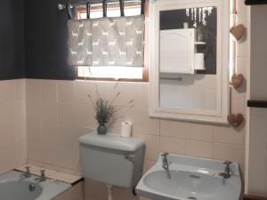 a bathroom with a toilet and a sink and a window at Milkwoodbend Farm Resort in East London